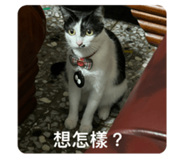 658937556