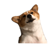658977335