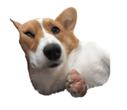 658977340