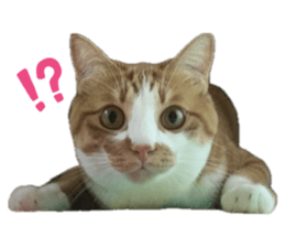 658979256