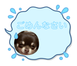 659036461