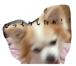 659058958