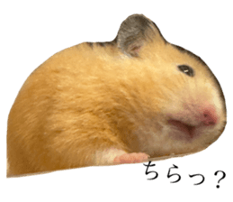659080990