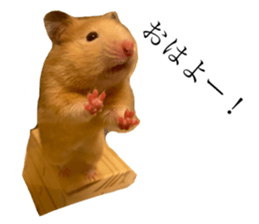 659080991