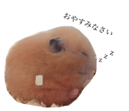 659081005