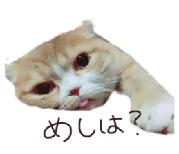 659122703