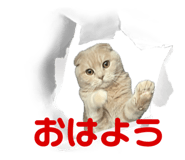 659123654