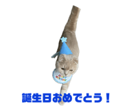 659123656