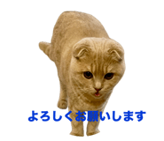 659123659