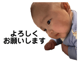 659131360