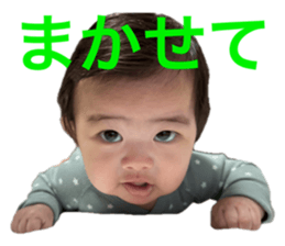 659131694