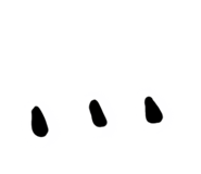 659135897