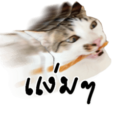 659148316