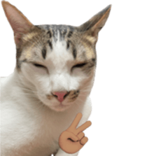659148325
