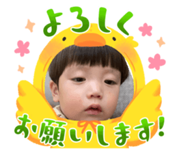 659154666