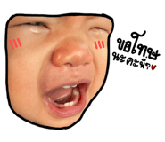 659156529
