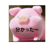 659166010