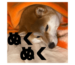 659167325