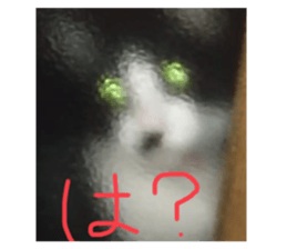 659230089