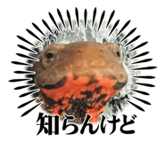 659230610