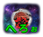 659230611