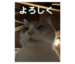 659231470