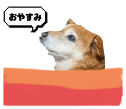 659267559