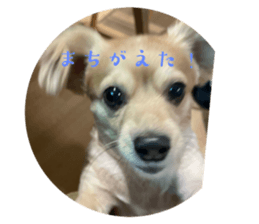 659292309
