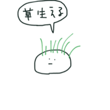 6593371