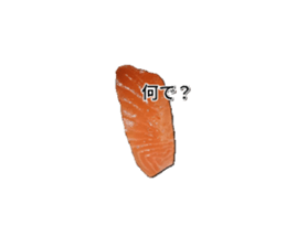 659373093