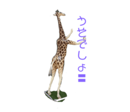659376372