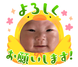 659395750