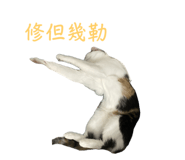 659413240