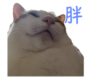 659413246