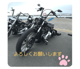 659413794