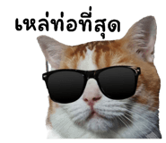 659414390