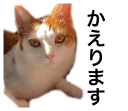 659420193