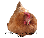 659424451