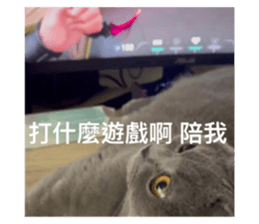 659424739