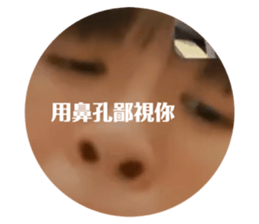 659426216