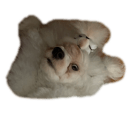 659429151