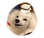659429154