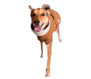 659429181