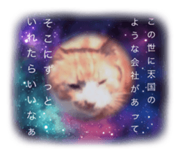 659432600