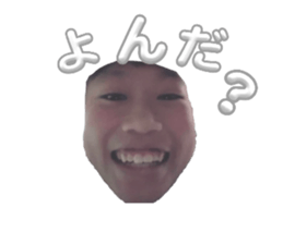 659441964
