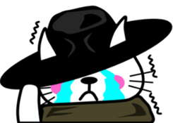 6594494