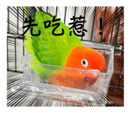659455302