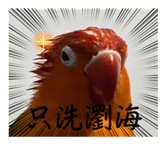 659455314