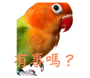 659455317