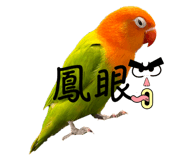 659455318